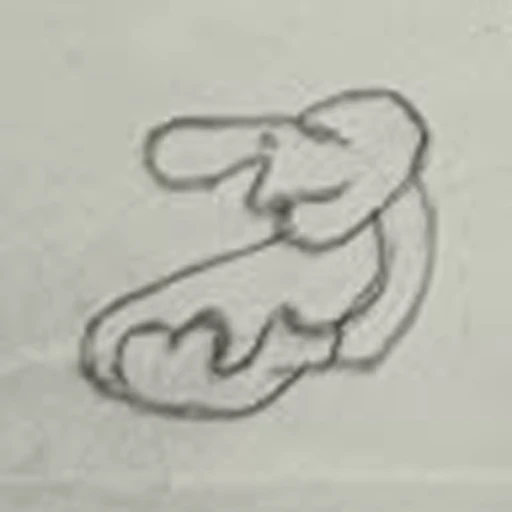 Boceto 3 (boceto)