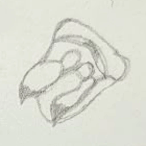 Boceto 1 (boceto)
