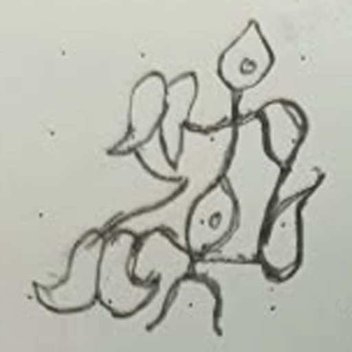Boceto 3 (boceto)