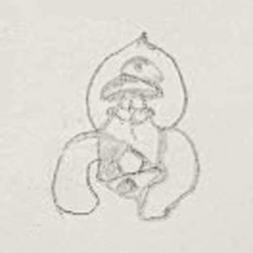 Boceto 3 (boceto)