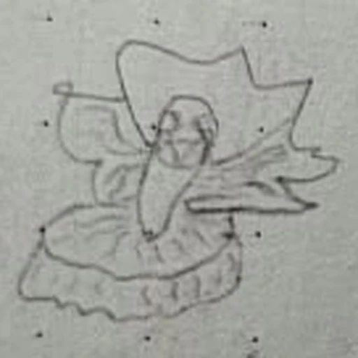 Boceto 5 (boceto)
