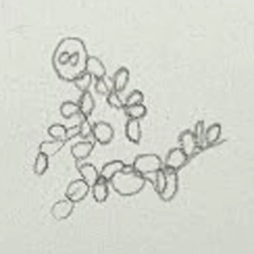 Boceto 4 (boceto)