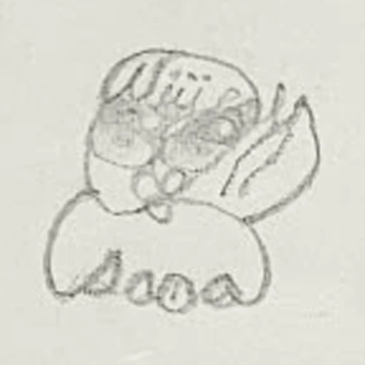 Boceto 9 (boceto)