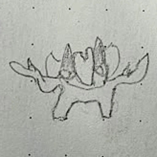 Boceto 7 (boceto)