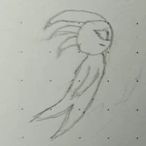 Boceto 1 (boceto)