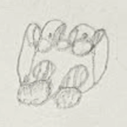 Boceto 11 (boceto)