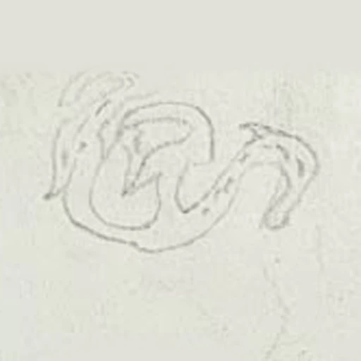 Boceto 12 (boceto)