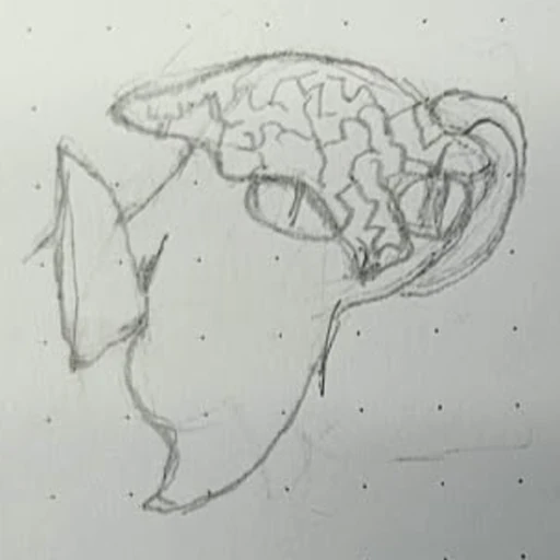 Boceto 9 (boceto)