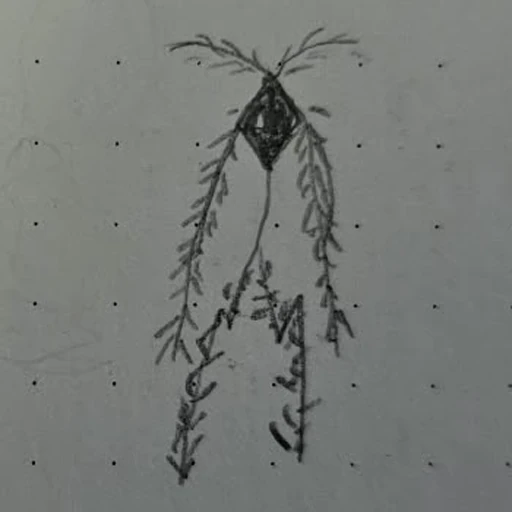 ... (boceto)
