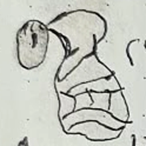 Boceto 11 (boceto)