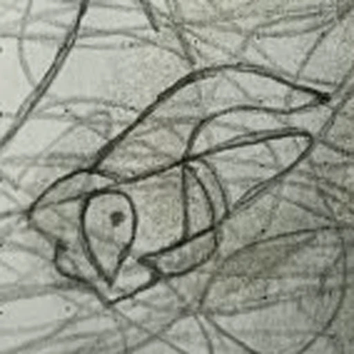 Boceto 4 (boceto)