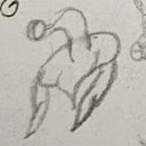 Boceto 9 (boceto)
