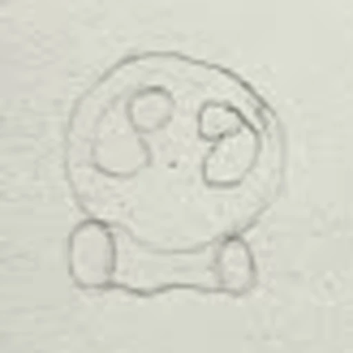 Botir (boceto)
