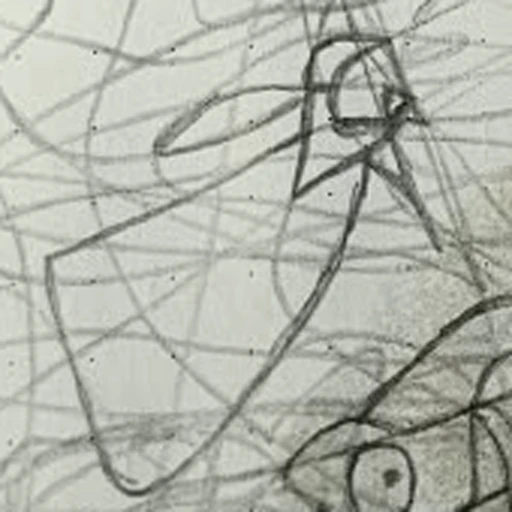 Boceto 3 (boceto)