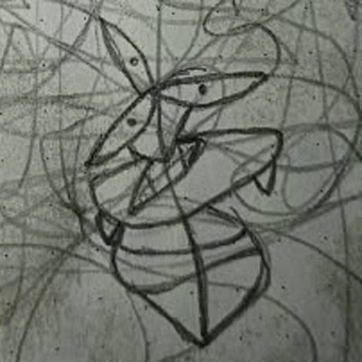 Boceto 5 (boceto)