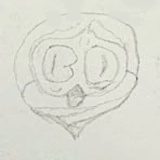 Boceto 6 (boceto)