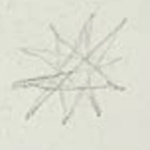 Boceto 4 (boceto)
