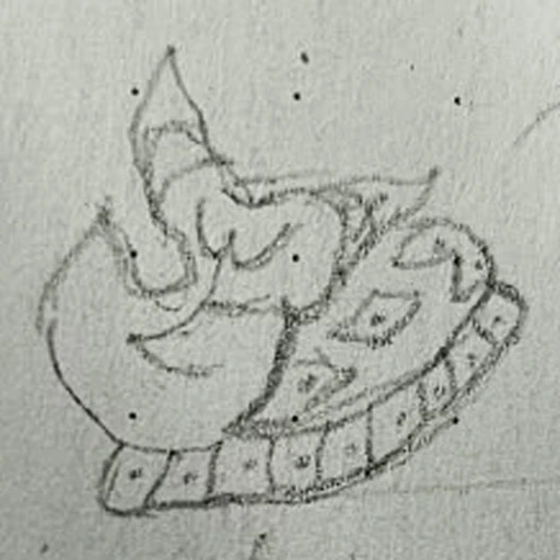 Boceto 3 (boceto)